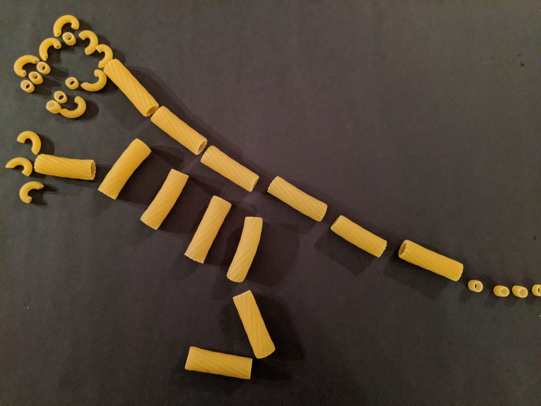 dinosaur skeleton pasta